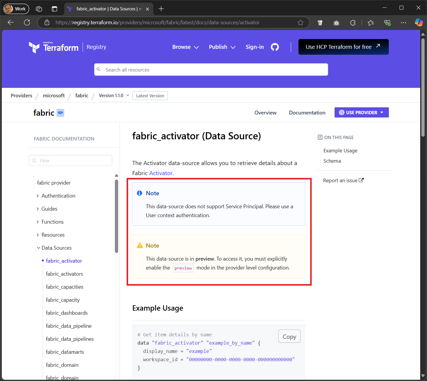A screenshot showing the Fabric Terraform provider documentation with notes about preview features and service principal support.